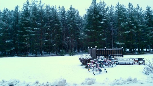 2015-11-20 First Snow